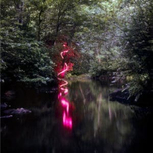 Barry Underwood, Pink, 2008, 36 x36 in., archival pigment print, Courtesy of the artist