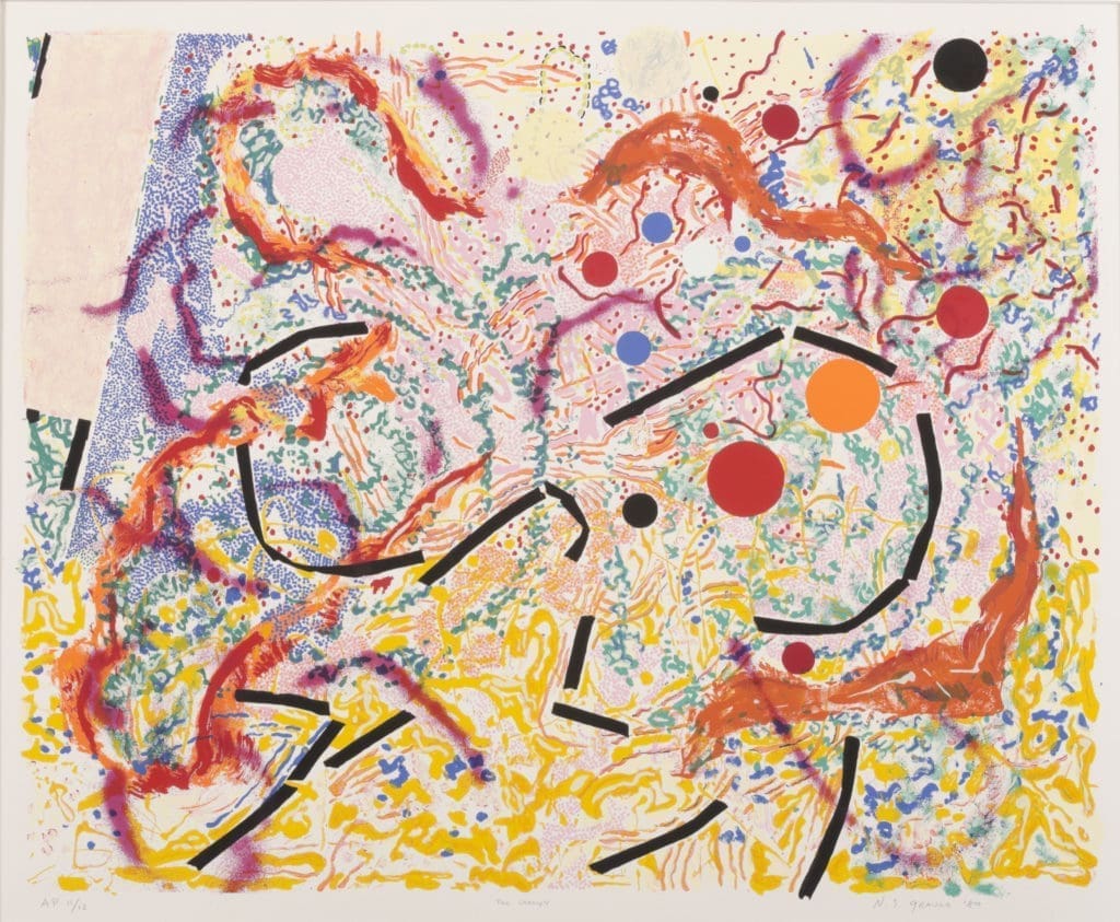 Vertigo, Nancy Graves, (Pittsfield, Massachusetts, 1939 - 1995, New York), 1980, Screenprint on paper, 22 1/4 in. x 27 1/2 in. (56.52 cm x 69.85 cm), Gift of Carolyn K. Carr in memory of Louis S. Myers, 1993.16